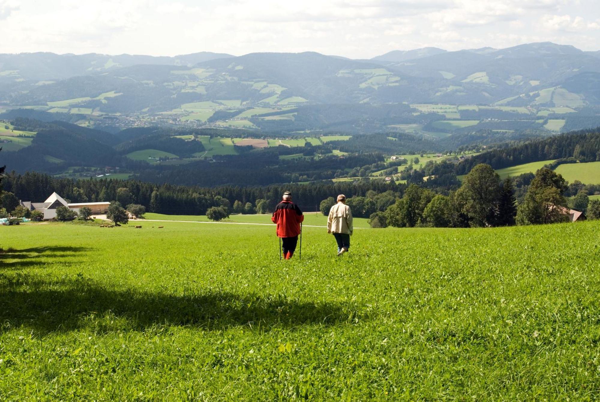 Wildwiesenhof Miesenbach  Екстериор снимка