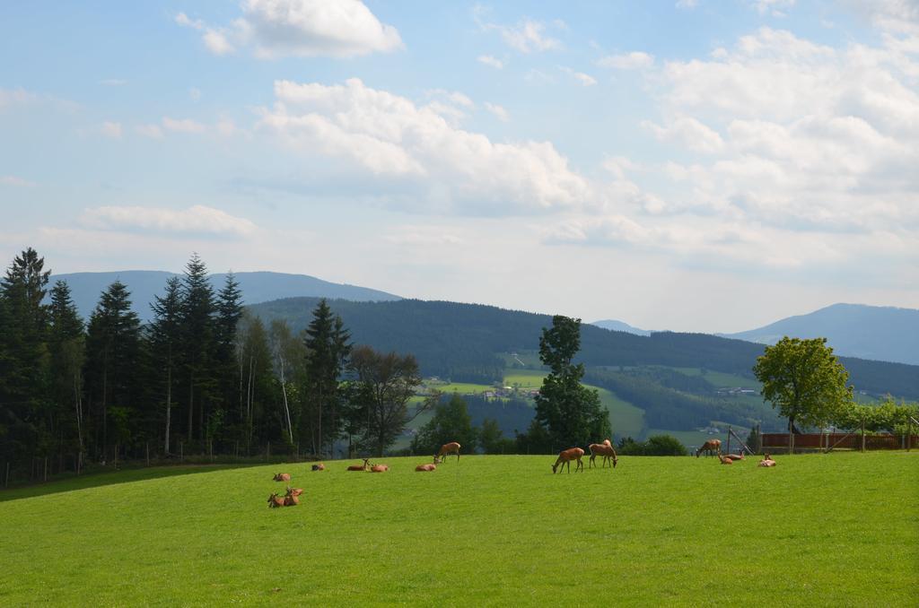 Wildwiesenhof Miesenbach  Екстериор снимка