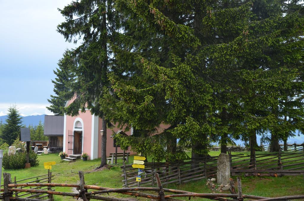 Wildwiesenhof Miesenbach  Екстериор снимка